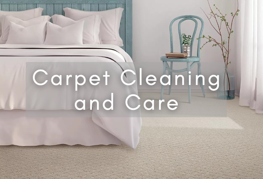 Carpet cleaning and care article