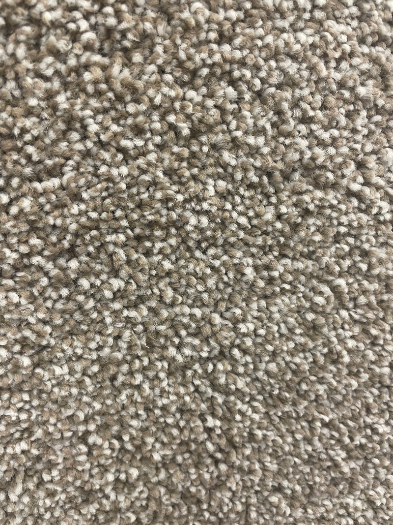 Shaw Carpet 5E647 TRUSOLUTIONS I