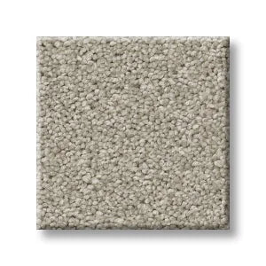 Shaw Carpet 5E647 TRUSOLUTIONS I