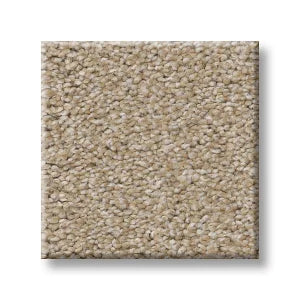 Shaw Carpet 5E647 TRUSOLUTIONS I