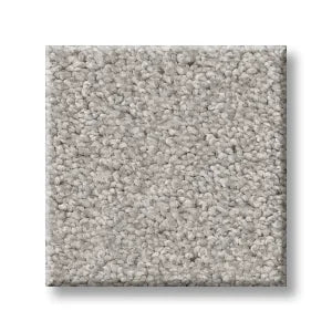 Shaw Carpet 5E647 TRUSOLUTIONS I