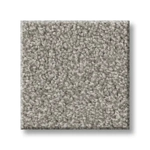 Shaw Carpet 5E647 TRUSOLUTIONS I