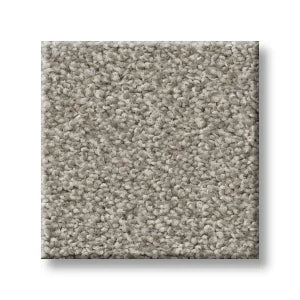 Shaw Carpet 5E647 TRUSOLUTIONS I