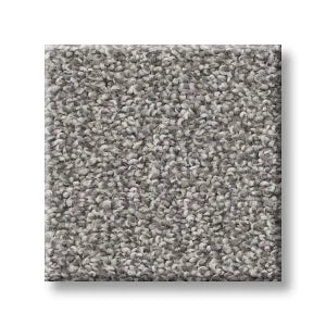 Shaw Carpet 5E647 TRUSOLUTIONS I