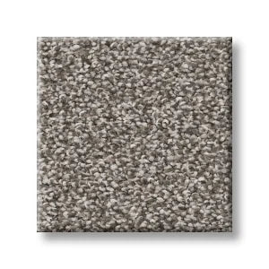 Shaw Carpet 5E647 TRUSOLUTIONS I