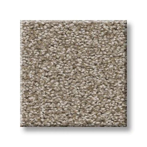 Shaw Carpet 5E647 TRUSOLUTIONS I