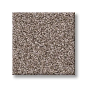 Shaw Carpet 5E647 TRUSOLUTIONS I