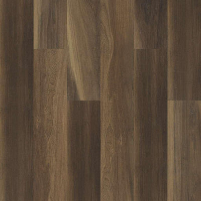 RAVINE OAK - Shaw Vinyl 6.5mm INTREPID HD PLUS 2024V - advancedflooring