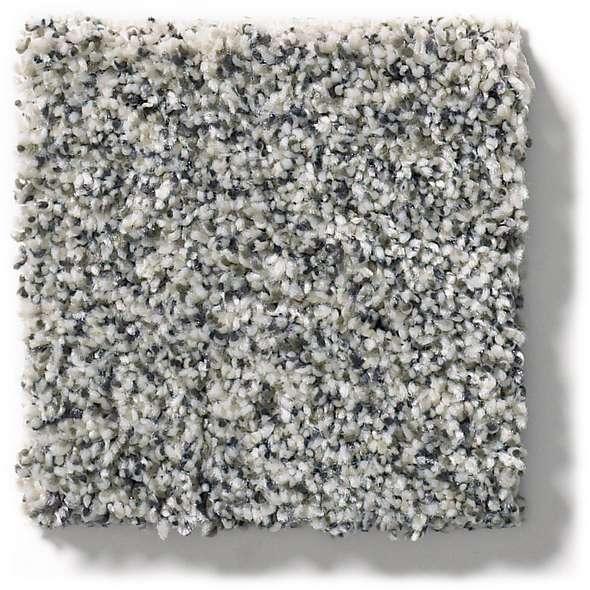 Shaw Carpet 5E261 WITHIN REACH III - advancedflooring