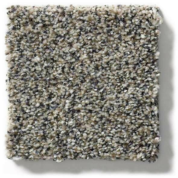 Shaw Carpet 5E261 WITHIN REACH III - advancedflooring