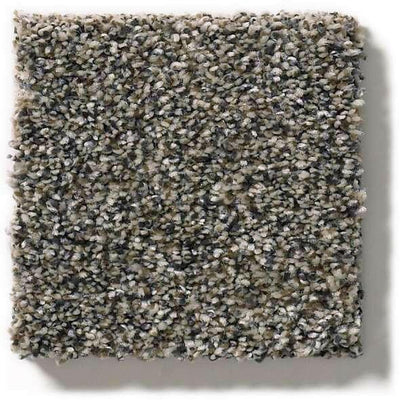 Shaw Carpet 5E261 WITHIN REACH III - advancedflooring