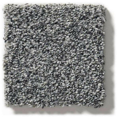 Shaw Carpet 5E261 WITHIN REACH III - advancedflooring