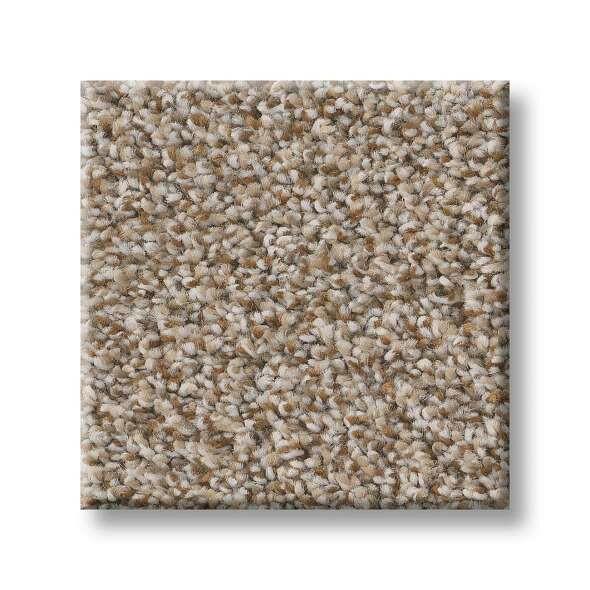 Shaw Carpet 5E496 TruSpirit I - advancedflooring