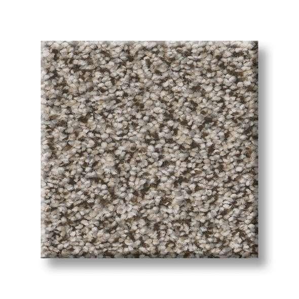 Shaw Carpet 5E496 TruSpirit I - advancedflooring