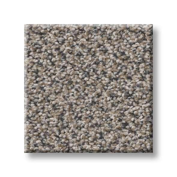 Shaw Carpet 5E496 TruSpirit I - advancedflooring