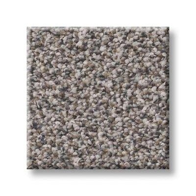 Shaw Carpet 5E496 TruSpirit I - advancedflooring