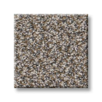 Shaw Carpet 5E496 TruSpirit I - advancedflooring