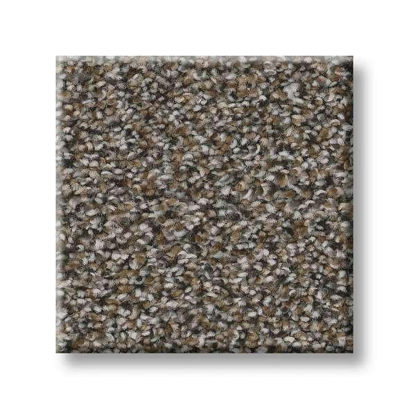 Shaw Carpet 5E496 TruSpirit I - advancedflooring