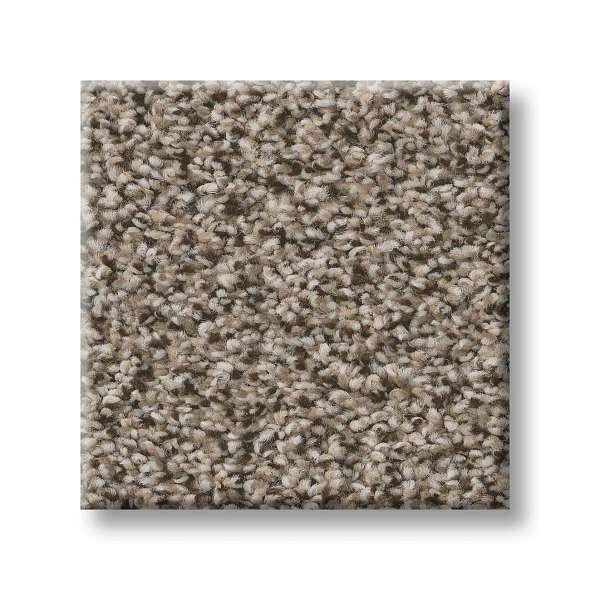 Shaw Carpet 5E496 TruSpirit I - advancedflooring