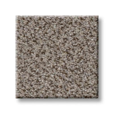 Shaw Carpet 5E497 TruSpirit II - advancedflooring