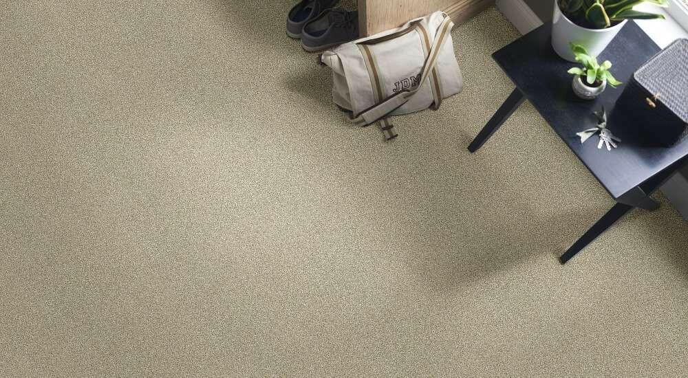 SHAW Carpet E9955 CABANA BAY (T) - advancedflooring