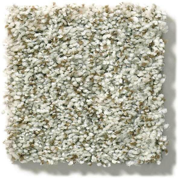 Shaw Carpet E9959 CABANA LIFE (B) - advancedflooring