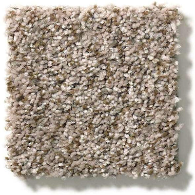 Shaw Carpet E9959 CABANA LIFE (B) - advancedflooring