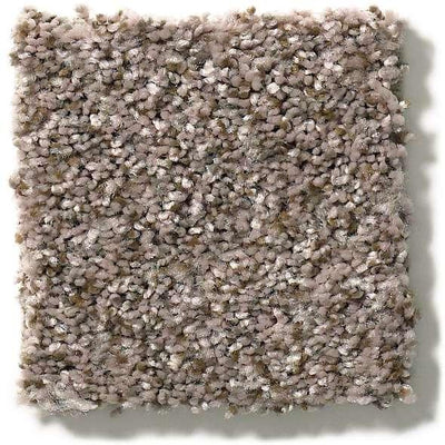 Shaw Carpet E9959 CABANA LIFE (B) - advancedflooring