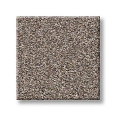 Shaw Carpet E9967 MOMENTUM I - advancedflooring