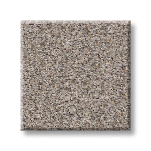 Shaw Carpet E9967 MOMENTUM I - advancedflooring