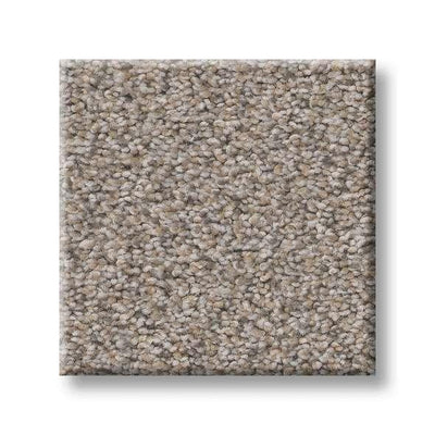 Shaw Carpet E9967 MOMENTUM I - advancedflooring