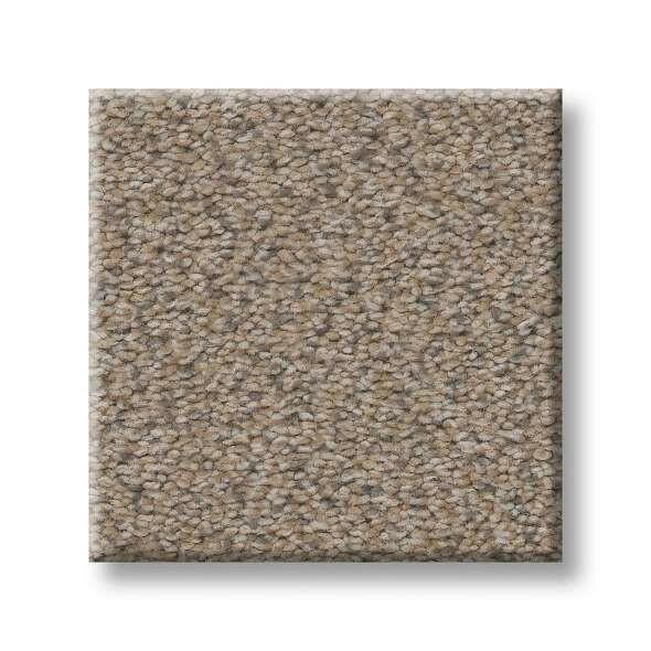 Shaw Carpet E9967 MOMENTUM I - advancedflooring