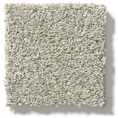 Shaw Carpet E9968 MOMENTUM II - advancedflooring