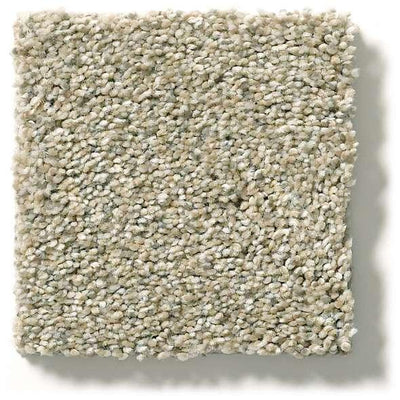 Shaw Carpet E9968 MOMENTUM II - advancedflooring